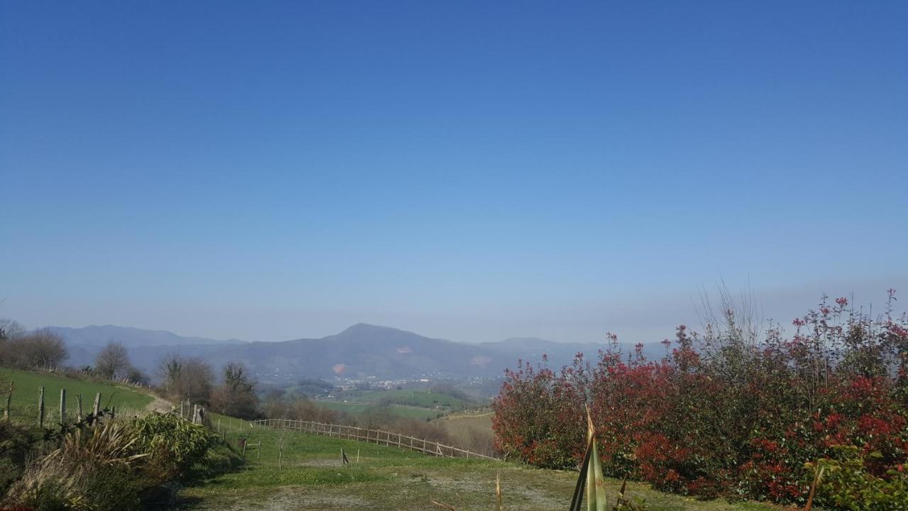 Ferme Ithurburia Saint-Michel  Εξωτερικό φωτογραφία